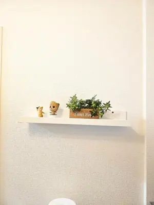 a shelf on a wall with two plants on it at New #\ud3b8\uc758\uc81010\ucd08#\uc2e0\uc8fc\ucfe02\ubd84#\uc2e0\uc624\ucfe0\ubcf4\uc5ed5\ubd84#16\ud3c9#\ucd5c\ub3004\uba85#\ubd80\uc5cc\uce68\uc2e4#\ub098\ub9ac\ud0c0\uacf5\ud56d50\ubd84#\uc544\ub291\ud55c\uc544\ud30c\ud2b8#\uace0\uae09\ub9e4\ud2b8\ub9ac\uc2a4 in Tokyo
