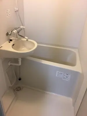 a bathroom with a sink and a bath tub at Ace Inn Asakusa in Tokyo