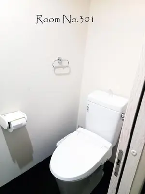 a bathroom with a white toilet in a stall at Ace Inn Asakusa in Tokyo