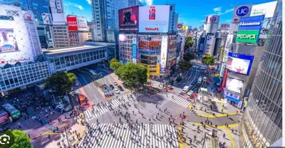 an overhead view of a busy city street with buildings at ksf\u4e0a\u6c60\u888b3\u4e01\u76ee102 in Tokyo