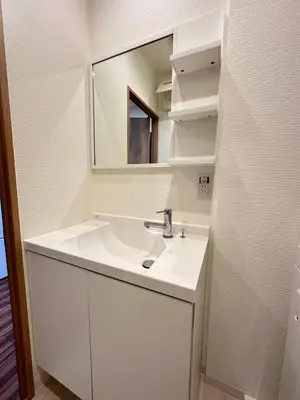 a bathroom with a white sink and a mirror at SOLASIA residence \u5317\u4e0a\u91ce401 in Tokyo