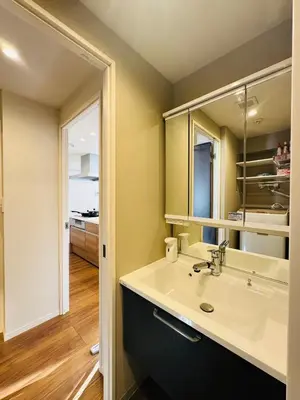 a bathroom with a sink and a mirror at Kabukichō, Shinjuku City -13F-SJ0019 in Tokyo
