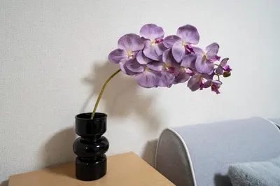 a purple flower in a black vase on a table at 6th floor 602 with elevator, 700 meters walk from Nishi-Shinjuku Gochome 4 minutes to Shinjuku, 75 square meters plus 30 square meters of large balcony in Tokyo