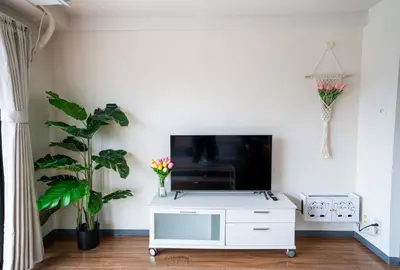 a living room with a tv and a white cabinet at 6th floor 602 with elevator, 700 meters walk from Nishi-Shinjuku Gochome 4 minutes to Shinjuku, 75 square meters plus 30 square meters of large balcony in Tokyo