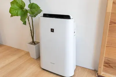 a white refrigerator in a room with a potted plant at feel Akihabara STAY in Tokyo