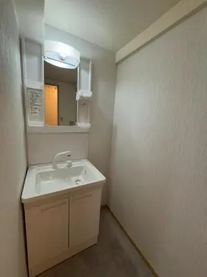 a bathroom with a sink and a mirror at HOTEL Japonica ANX in Tokyo