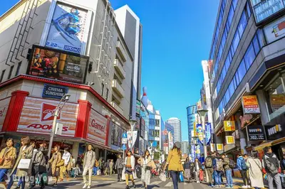 a crowd of people walking down a busy city street at ikebukuro three storey villa,three bedrooms,9-10 people in Tokyo