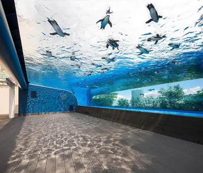 a room with a painting of dolphins in the water at ksf\u6c60\u888b\u672c\u753a4\u4e01\u76ee in Tokyo