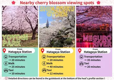 a collage of cherry blossomossom signs with a tree at Joyfull House in Tokyo