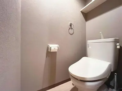 a bathroom with a white toilet in a room at Amika First 101 AF11 in Tokyo