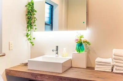 a bathroom with a white sink and a mirror at Poka Villa Aoyama in Tokyo