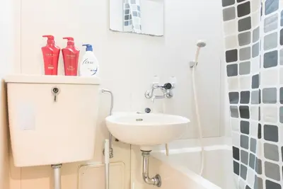 a white bathroom with a sink and a shower at Villa Wisteria Kitazawa -apartment hotel- in Tokyo