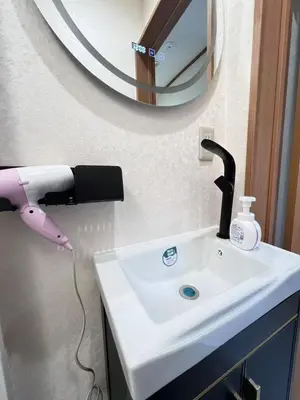 a bathroom sink with a blow dryer and a mirror at Takara\u8c4a\u5cf6\u5712201 NR0435 in Tokyo