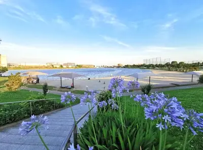 a view of a beach with purple flowers and umbrellas at F Hotel \u65b0\u7bc9\u30a2\u30d1\u30fc\u30c8 \u8fd1\u304f\u306b\u54c1\u5ddd\u3068\u7fbd\u7530\u7a7a\u6e2f \u65e0\u6599\u99d0\u8eca\u5834\u4e88\u7d04\u5fc5\u9808 in Tokyo