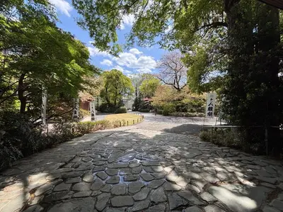 a cobblestone road in a park with trees at Tokyo Bauhaus in Tokyo