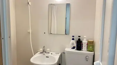 a bathroom with a sink and a toilet and a mirror at Ikebukuro Area 1F3 KamiikeApartment in Tokyo