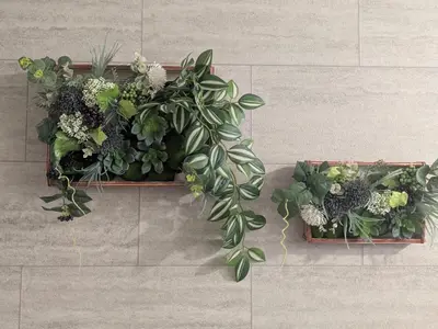 two plants are hanging on a wall at 15min from Haneda Airport Cozy for 3 in Tokyo