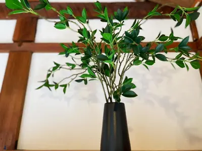 a black vase with a plant in it at YutoVillageHouse Sweetexperience in Ikebukuro YVM in Tokyo