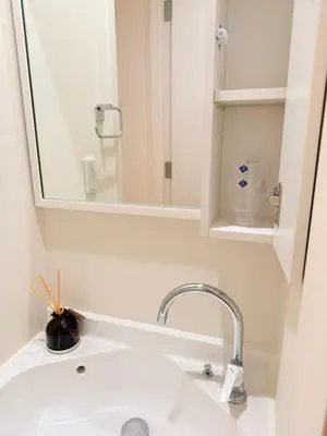 a white bathroom sink with a mirror and a sink at \u6c60\u888b\u946b\u306e\u5c4b in Tokyo