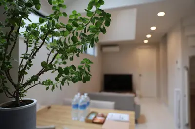 a potted plant sitting on a table in a living room at Tabi in Tokyo in Tokyo