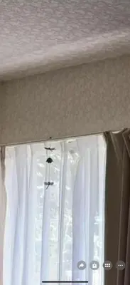a window with white curtains and a spider on it at aiki house in Tokyo