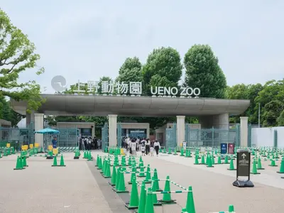 a bunch of green cones in front of a building at ESTABLISHMENT Ueno in Tokyo