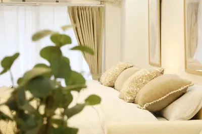 a living room with a couch with pillows and a plant at \u30aa\u30b0\u30e9\u30d3\u30eb 203 in Tokyo
