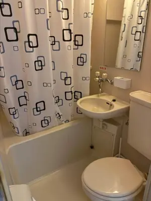 a bathroom with a toilet and a sink and a shower curtain at Omori 8min Stylish and comfortable room in Tokyo