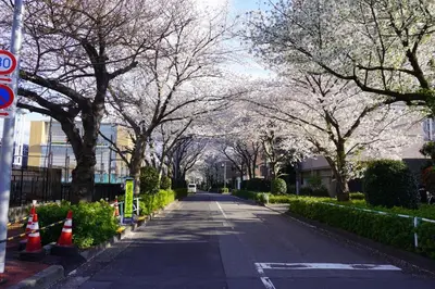 an empty street with trees and cones in a city at Akabane Nishi Masuda House in Tokyo