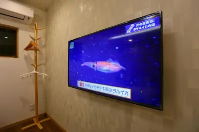 a flat screen tv hanging on a wall at 101 Convenient Ueno Lucky Yado in Tokyo