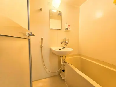 a bathroom with a sink and a bath tub at jr\u65b0\u5c0f\u5ca9\u99c5\u307e\u3067\u5f92\u6b698\u5206,\u8cb8\u5207\u89b3\u5149\u6700\u9069,\u6771\u4eac\u99c5\u307e\u306720\u5206 in Tokyo