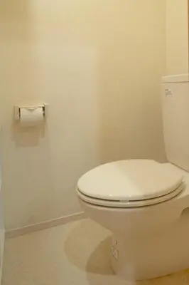 a bathroom with a toilet and a roll of toilet paper at \u30e1\u30be\u30f3\u67cf\u6728 in Tokyo