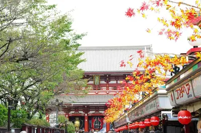 a street with a building with a bunch of trees at Nestry Asakusa 502\u53f7\u5ba4 in Tokyo