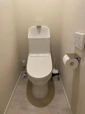 a bathroom with a white toilet in a room at T-Hotel\u5165\u8c37 in Tokyo