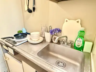a kitchen sink with a cat sitting next to it at Ikebukuro Sugamo B01 in Tokyo