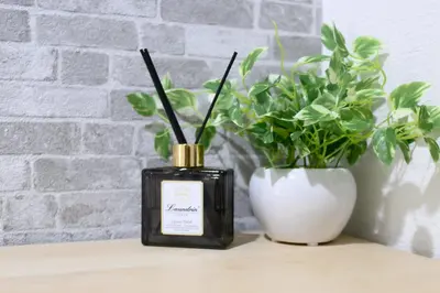 a black bottle of perfume next to a white vase at RENTO Ikebukuro 101 in Tokyo