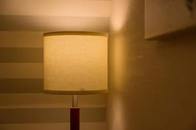 a lamp in the corner of a room at \u30db\u30c6\u30eb\u30a6\u30a4\u30eb\u30b7\u30c6\u30a3\u6d45\u8349\u672c\u9928 in Tokyo