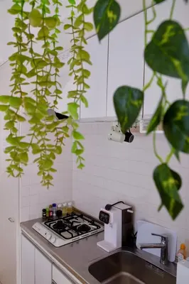 a kitchen with a sink and a stove and a plant at Comfy Home Kikukawa in Tokyo