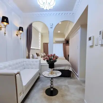 B3 Shinjuku JR St 8 mins 2 bedrooms and 1 living room Max 5P Direct to Shinjuku Ueno Ginza Shibuya Ikebukuro Yoyogi Shinagawa 新宿区 高田马场车站8分钟 两室一厅 最大5人