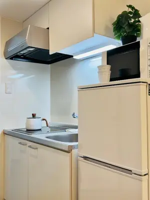 a kitchen with a white refrigerator and a sink at \u6574\u5957\u79c1\u4eba\u9ad8\u7ea7\u89c2\u666f\u9152\u5e97\u516c\u5bd3 \u8fea\u58eb\u5c3c\u76f4\u8fbe \u6674\u7a7a\u5854\u5929\u7a7a\u6811 \u4ea4\u901a\u4fbf\u5229 \u8f66\u7ad9\u6b65\u884c3\u5206\u949f in Tokyo