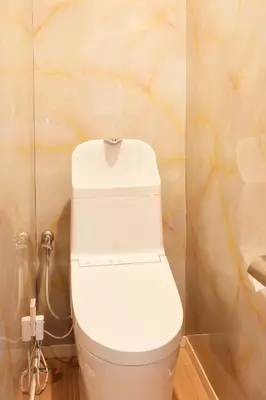a bathroom with a white toilet in a room at \u4e80\u4e43\u5eb5Kamenoan in Tokyo