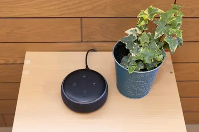 a black computer mouse next to a potted plant at Villa Jujo in Tokyo