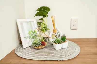 a group of plants sitting on top of a table at \u30a2\u30f3\u30c9\u30b9\u30c6\u30a4\u5927\u5cf63\u4e01\u76ee in Tokyo