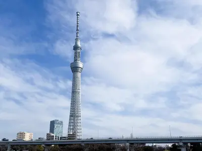 a tall tower with a bridge in front of a city at HOTEL AMANEK Asakusa Sakurabashi in Tokyo