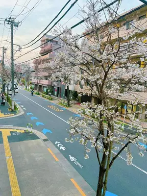 a tree with white flowers on a city street at \u685c\u306e\u901a \u4ea4\u901a\u4fbf\u5229 \u6c60\u888b\u5468\u8fba 2-4\u4eba \u6c60\u888b4\u5206\u65b0\u5bbf10\u5206\u6e0b\u8c3714\u5206\u76f4\u901a in Tokyo
