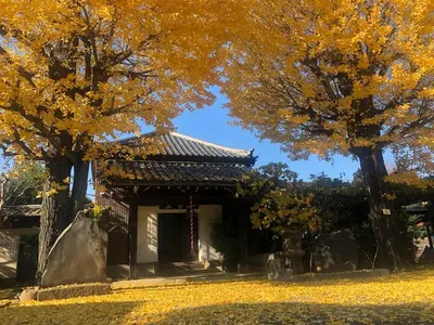 an asian building with two trees with yellow leaves at 102 \u5c71\u624b\u7ebf\u8fd1\u4e0a\u91ce\u4e00\u7ad9\u6e29\u99a8\u65b0\u516c\u5bd3 in Tokyo
