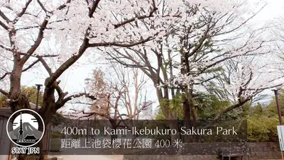 a tree with pink flowers on it in a park at Km302\u4e0a\u6c60\u888b in Tokyo