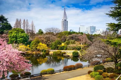 a view of a park with a pond and a city at \u65b0\u5bbf\u306e\u4e00\u8ed2\u5bb6 90\u5e73\u7c73 \u99d0\u8eca\u5834\u4ed8 3\u5bdd\u5ba47\u30d9\u30c3\u30c9 \u6771\u65b0\u5bbf\u99c5\u5f92\u6b699\u5206 in Tokyo