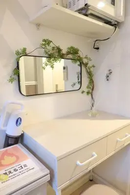 a bathroom with a mirror and a sink and a toilet at Petit Shinjuku in Tokyo