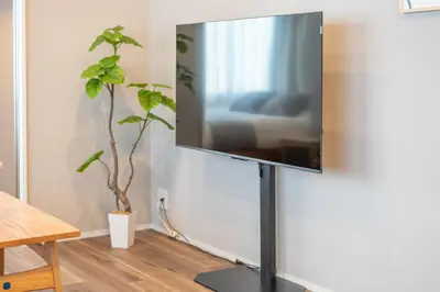 a flat screen tv on a stand in a room with a plant at Starry Stay Suite Improve Nishimagome in Tokyo
